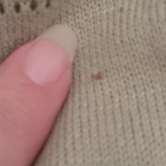 Joie sleeveless open collar pointelle knit banded bottom sweater shell preppy 1X - Picture 5 of 5